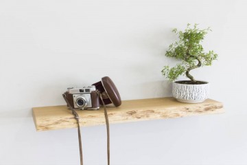 Wandplank boomstamplank 0